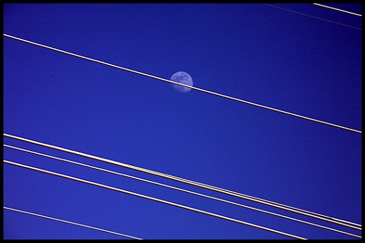 Moon on a Wire.jpg